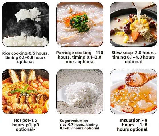 ๐๐๐ฌ๐ฒ๐๐จ๐จ๐คโข Portable Multi-Function Double-Pot Steam Cooker